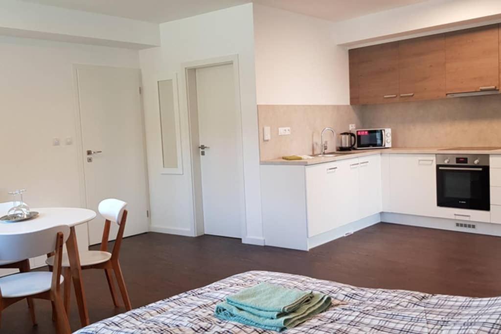 Suite With Back Garden Karlovy Vary Dış mekan fotoğraf